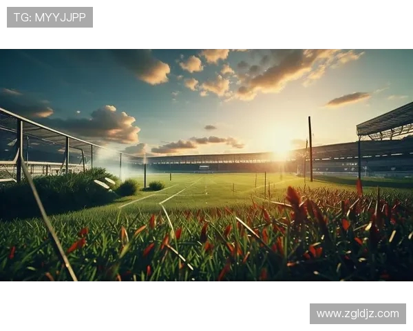 绿茵场上荣耀与梦想交织看世界足球如何点燃激情