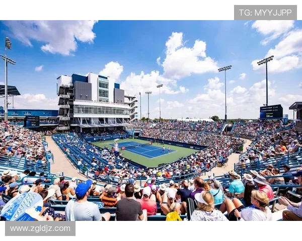 网球运动的历史变迁与技术革新：从草地到硬地的竞技挑战与发展