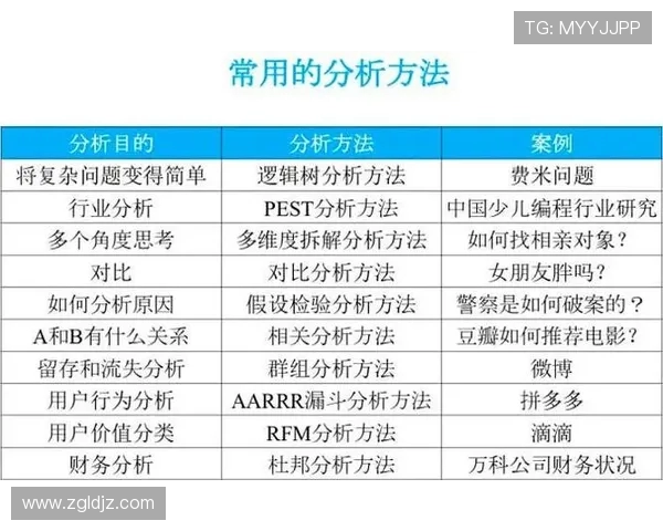 成都网球队战术表现深度分析与数据解读探讨 成都网球队战术表现深度分析与数据解读探讨