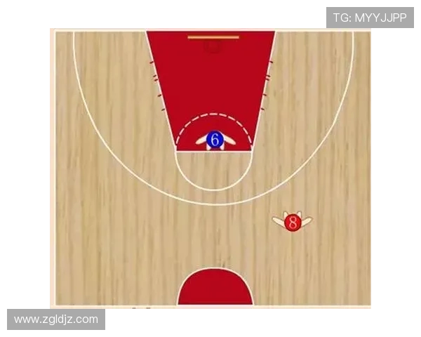 深圳羽毛球队快攻战术解析与深度剖析之旅