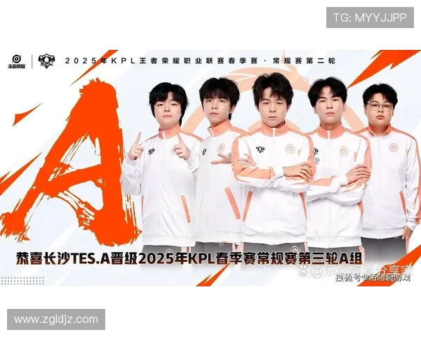 王者荣耀TES战队耐力分析与策略探讨之路