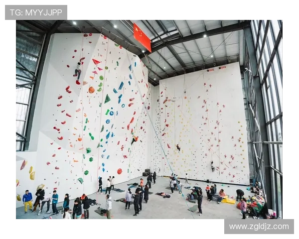 赛后分析：上海攀岩队与南京攀岩队实力对比与表现评估