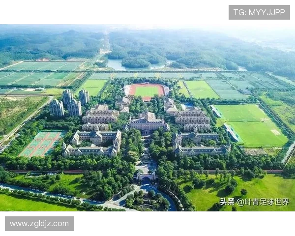 打造世界级足球俱乐部的成功之路:从青训到顶级联赛的全方位战略分析